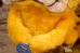 画像8: ct-261014-27 Garfield & Pooky / DAKIN 1980's Plush Doll (8)