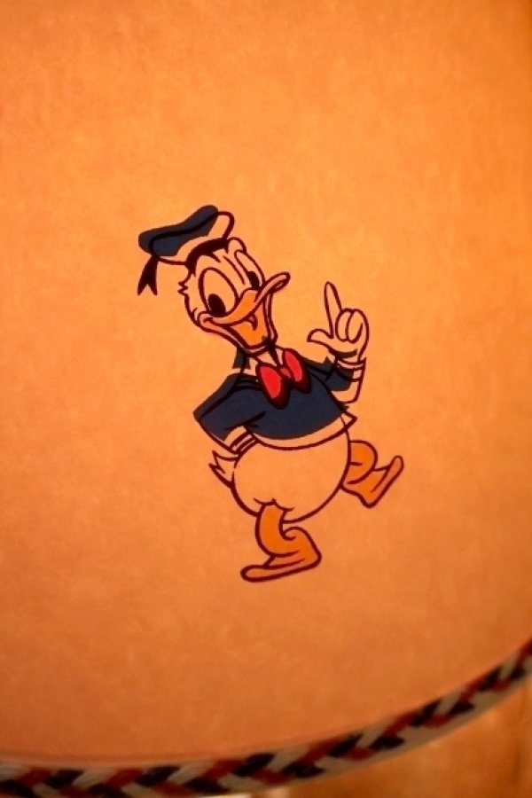 画像7: ct-261014-48 Donald Duck / 1960's Nursery Light