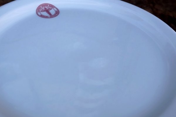 画像3: dp-210501-55 U.S. ARMY MEDICAL DEPARTMENT / Vintage Plate