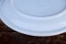 画像7: dp-210501-55 U.S. ARMY MEDICAL DEPARTMENT / Vintage Plate (7)