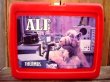 画像1: ct-120222-25 ALF / 80's Plastic Lunchbox