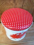 画像4: ct-120802-06 Starwberry Shortcake / 80's Tin case (M)