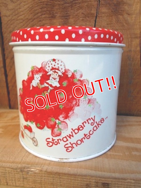 画像1: ct-120802-06 Starwberry Shortcake / 80's Tin case (M)