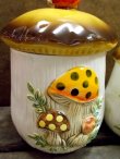 画像2: kt-121105-01 Sears / 70's Mushroom Canister