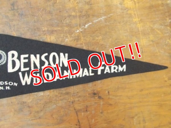 画像3: dp-130116-04 Benson Wild Animal Farm / 50's〜 Vintage Pennant