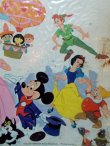 画像4: ct-120802-02 Walt Disney's / Disney Favorite 1923-1973 70's Record