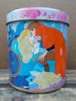 画像1: ct-130512-06 Sleeping Beauty / 70's Tin Bank