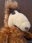 画像2: ct-130305-10 ALF / 80's 16'' Talking Plush doll