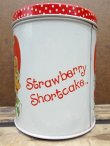 画像3: ct-130716-22 Strawberry Shortcake / 80's Tin Canister (S)