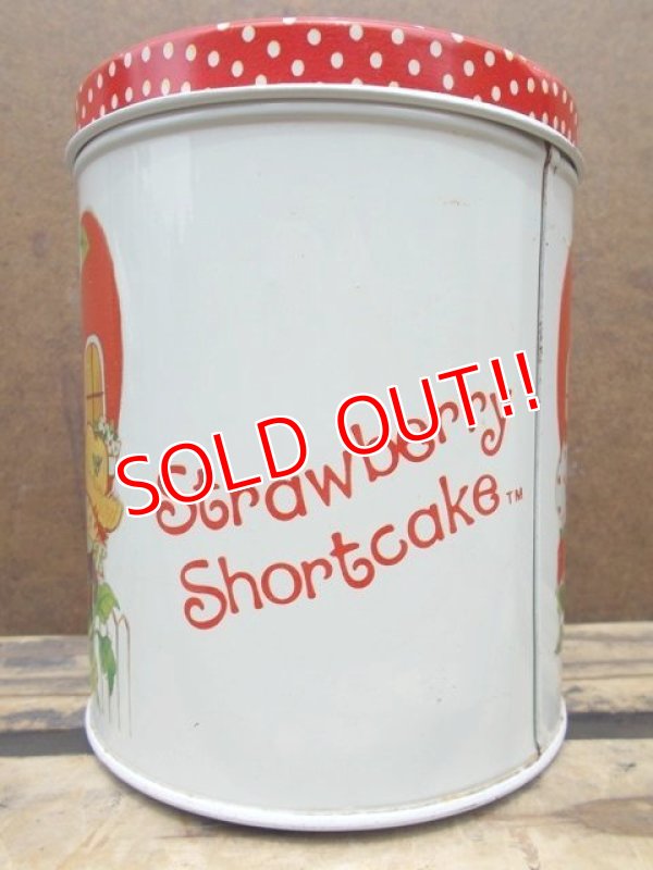 画像3: ct-130716-22 Strawberry Shortcake / 80's Tin Canister (S)