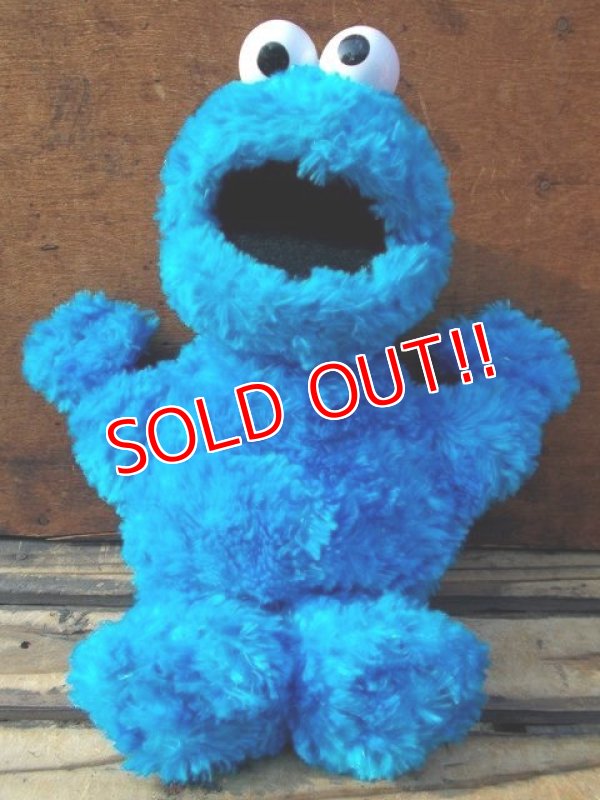 画像1: ct-130521-46 Cookie Monster / Gund 2002 Plush doll