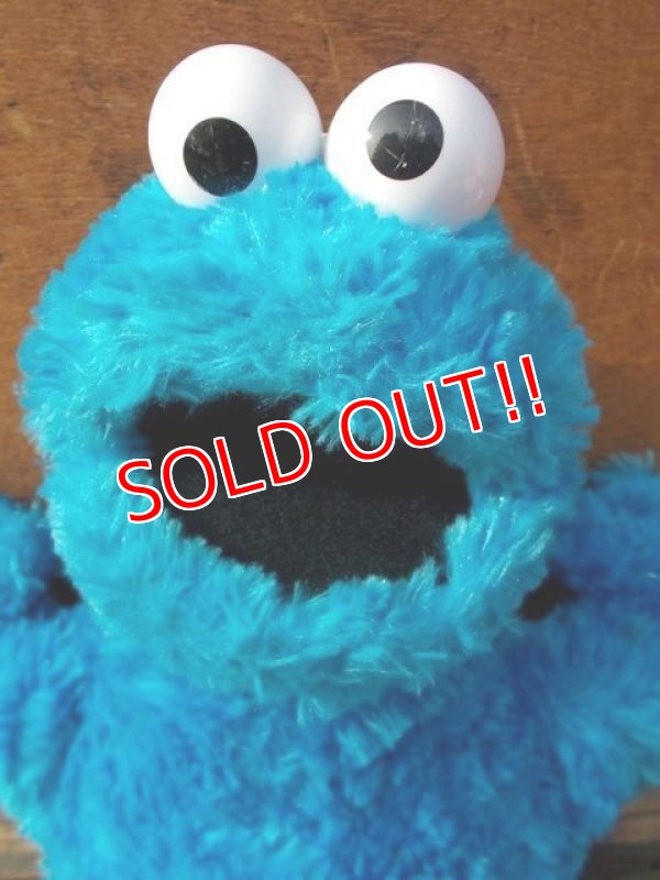 画像2: ct-130521-46 Cookie Monster / Gund 2002 Plush doll