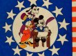 画像2: ct-130924-17 Walt Disney World / 80's-90's Pennant "We the People"