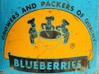 画像4: dp-131001-09 Nova Scotia Blueberry Expoters Tin