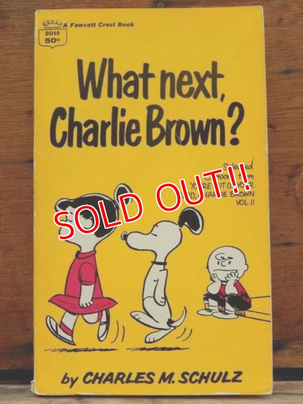 画像1: bk-1001-10 PEANUTS / 1968 Comic "Waht Next,Charlie Brown?"