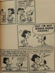 画像2: bk-1001-12 PEANUTS / 1972 Comic "You're Something Special Snoopy!"