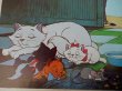 画像4: ct-131015-07 The ARISTOCATS / 70's Record