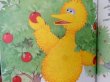 画像4: bk-130607-08 Sesame Street BIG BIRD'S DAY ON THE FARM / 80's Little Golden Books