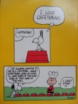 画像5: bk-131029-04 PEANUTS / 1973 YOUR CHOICE,SNOOPY