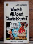 画像1: bk-131029-02 PEANUTS / 1969 What's It All About,Charlie Brown?