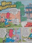 画像2: bk-130511-01 Woody Woodpecker / 1968 Comic