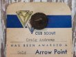 画像2: dp-131106-05 Cub Scout / 50's Pins