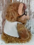 画像5: ct-140415-19  ALF / 80's Plush doll "Canadidate"