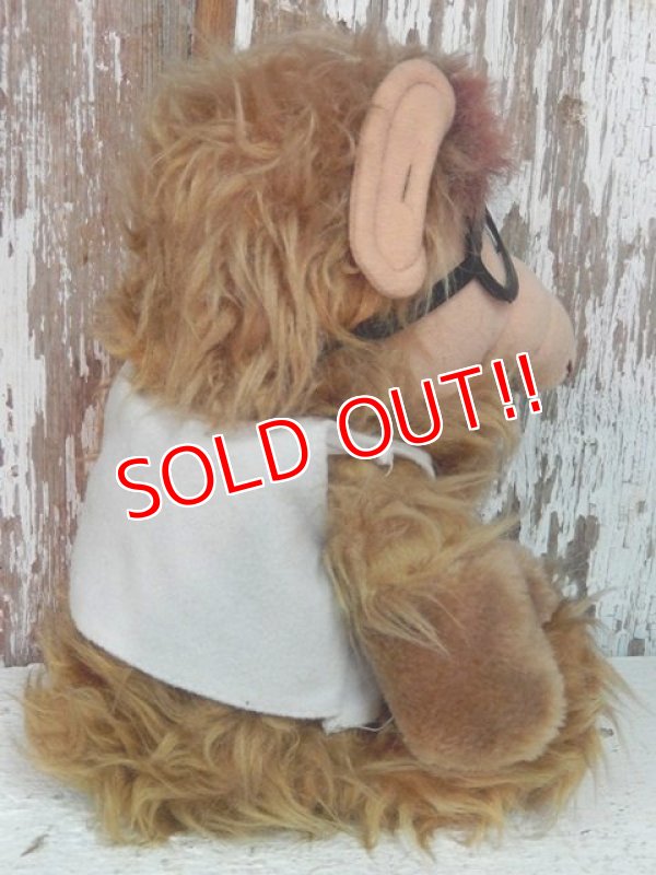 画像5: ct-140415-19  ALF / 80's Plush doll "Canadidate"