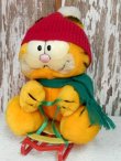 画像1: ct-140415-34 Garfield / R.DAKIN 80's Plush Doll "Snow Flyer"