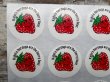 画像2: ct-140318-46 Kahn's / Sticker "Strawberry"