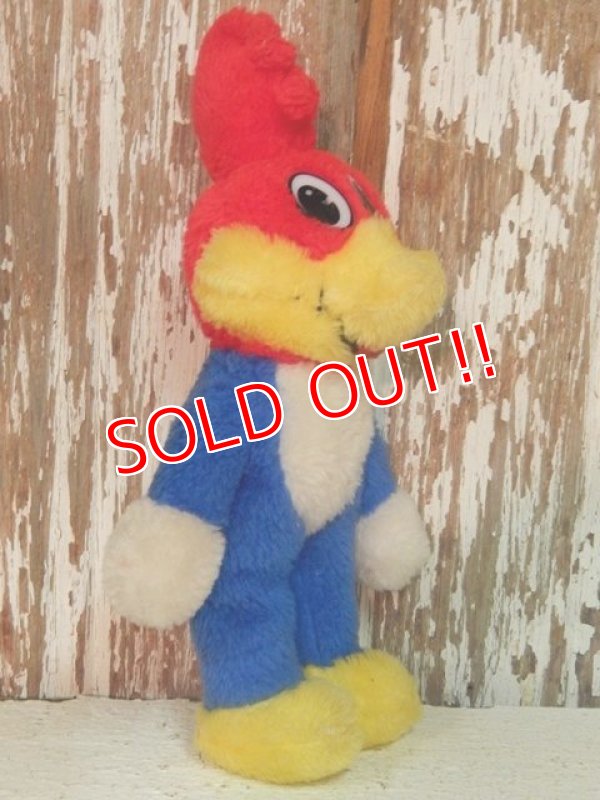 画像4: ct-140516-63 Woody Woodpecker / 80's Plush Doll