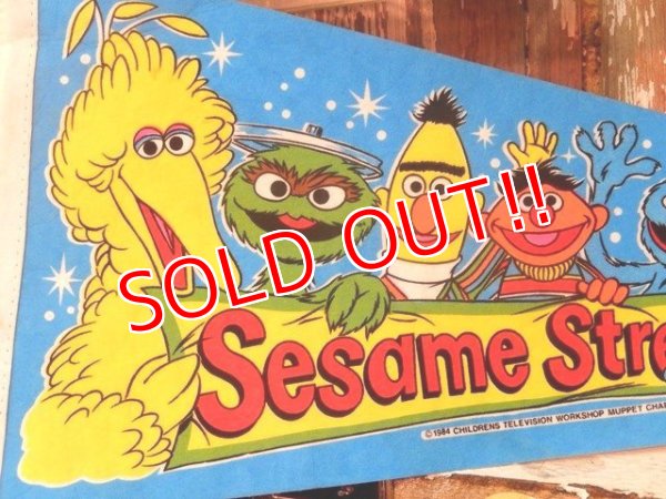 画像2: ct-140516-59 Sesame Street / 80's Pennant