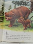 画像2: bk-140610-05 Smokey Bear / 70's Picture Book