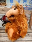 画像3: ct-140617-06 ALF / 80's 20'' Talking Plush doll