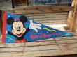 画像1: ct-140624-05 Walt Disney World / 90's Pennant