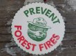 画像2: ct-140715-14 Smokey Bear / Vintage Coaster set