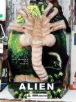 画像1: ct-140724-01 Alien / 2004 Facehugger Life-sized Plush Doll