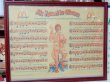 画像2: ct-140701-11 McDonald's / 1974 Mc Favorite Clown Music Score