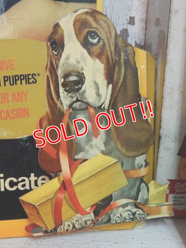 画像2: ct-141001-26 Hush Puppies / 70's Cardboard sign "Give Hush Puppies ...For Any Occasion"