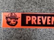 画像1: ct-140305-01 Smokey Bear / Bumper Sticker