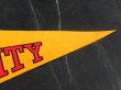 画像4: ct-141028-10 Disney University / Pennant