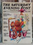 画像1: ct-140708-16 Garfield / 80's The Saturday Evening Post