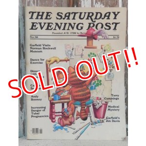画像: ct-140708-16 Garfield / 80's The Saturday Evening Post