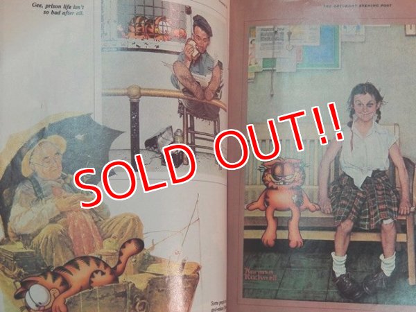 画像2: ct-140708-16 Garfield / 80's The Saturday Evening Post