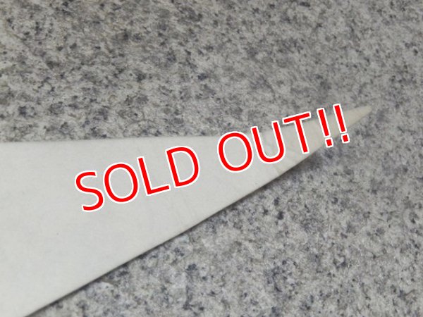 画像4: ct-141007-16 Disney MGM Studios Pennant