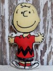 画像1: ct-150101-02 Charlie Brown / mini cloth doll