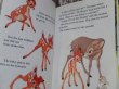 画像2: bk-150114-01 Bambi / 1979 Picture Book