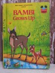 画像1: bk-150114-01 Bambi / 1979 Picture Book