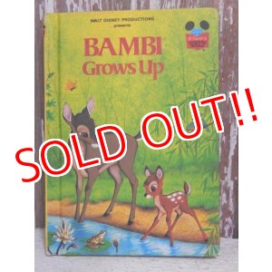 画像: bk-150114-01 Bambi / 1979 Picture Book