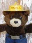 画像2: ct-150217-04 Smokey Bear / DAKIN 80's Plush Doll